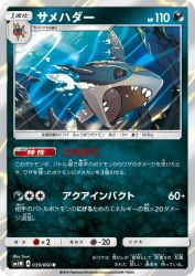 Sharpedo 039/060