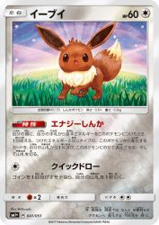 Eevee 041/051