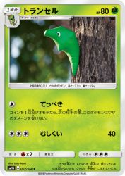 Metapod 002/060