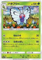 Butterfree 003/060