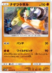 Passimian 031/051