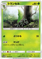 Metapod 002/051
