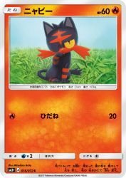 Litten 016/072