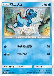 Totodile 019/072