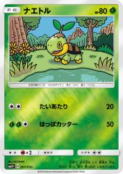 Turtwig 001/050