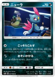 Sneasel 027/066