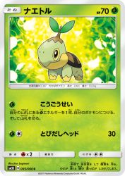 Turtwig 005/066