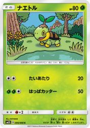 Turtwig 006/066