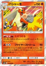 Blaziken 013/066