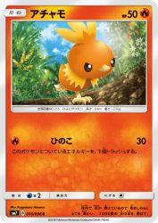 Torchic 015/096