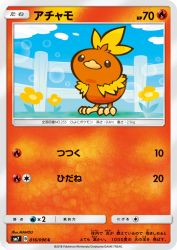 Torchic 016/096