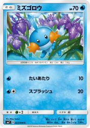 Mudkip 022/096