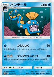 Huntail 028/096