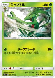 Grovyle 003/096