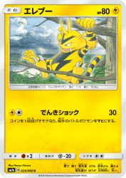 Electabuzz 026/060
