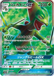 Sceptile-GX 051/050
