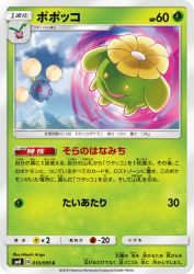 Skiploom 010/095