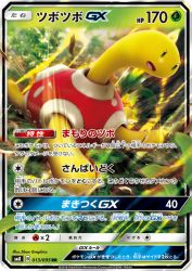 Shuckle-GX 013/095