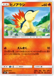 Cyndaquil 016/095