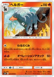 Houndoom 021/095