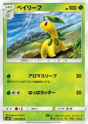 Bayleef 004/095