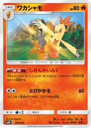 Combusken 013/150