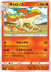 Rapidash 017/095