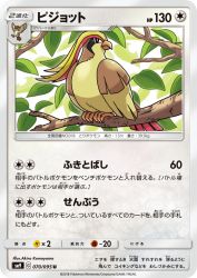 Pidgeot 070/095