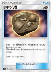 Unidentified Fossil 079/095