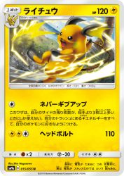 Raichu 015/055
