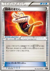 Fighting Fury Belt 010/018