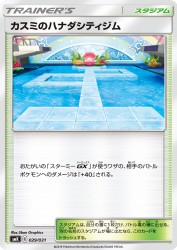 Misty's Cerulean City Gym 029/031