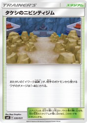Brock's Pewter City Gym 030/031