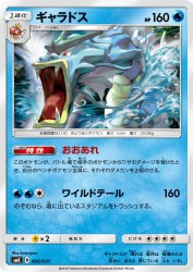 Gyarados 006/031