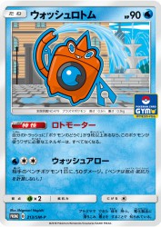 Wash Rotom 213/SM-P