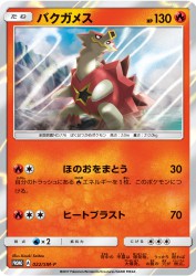 Turtonator 022/SM-P