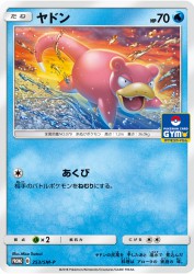 Slowpoke 253/SM-P