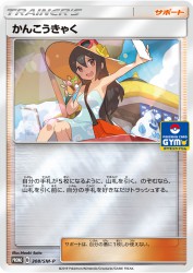 Sightseer 308/SM-P