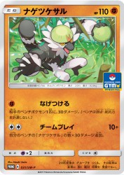 Passimian 031/SM-P
