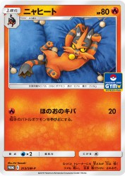 Torracat 313/SM-P
