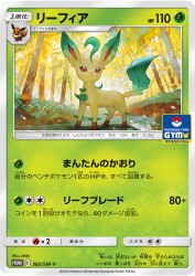 Leafeon 382/SM-P