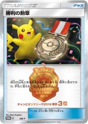 Victory Decoration (Third Place - 2019) SM-P