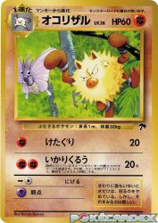 Primeape 18/18