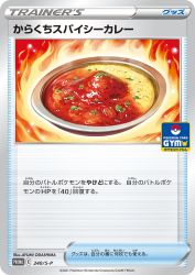 Spicy Seasoned Curry 240/S-P