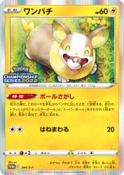 Yamper 244/S-P