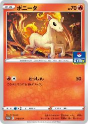 Ponyta 310/S-P