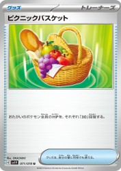 Picnic Basket 071/078