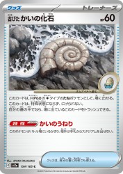 Antique Helix Fossil 154/165