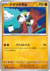 Passimian 044/071