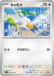 Wingull 058/071